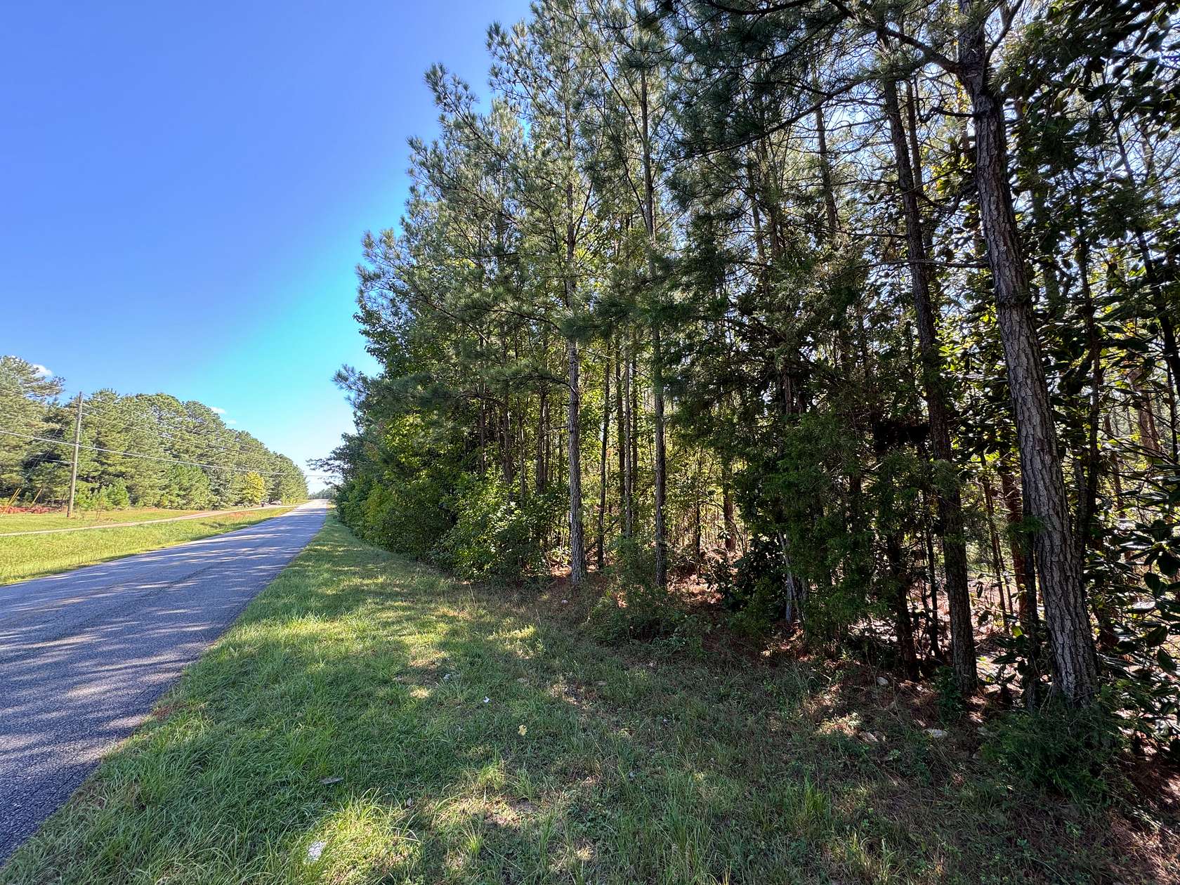 22.87 Acres of Land for Sale in Dadeville, Alabama