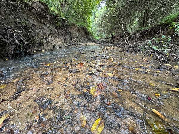 19 Acres of Recreational Land for Sale in Kellyton, Alabama