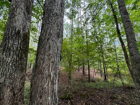 19 Acres of Recreational Land for Sale in Kellyton, Alabama