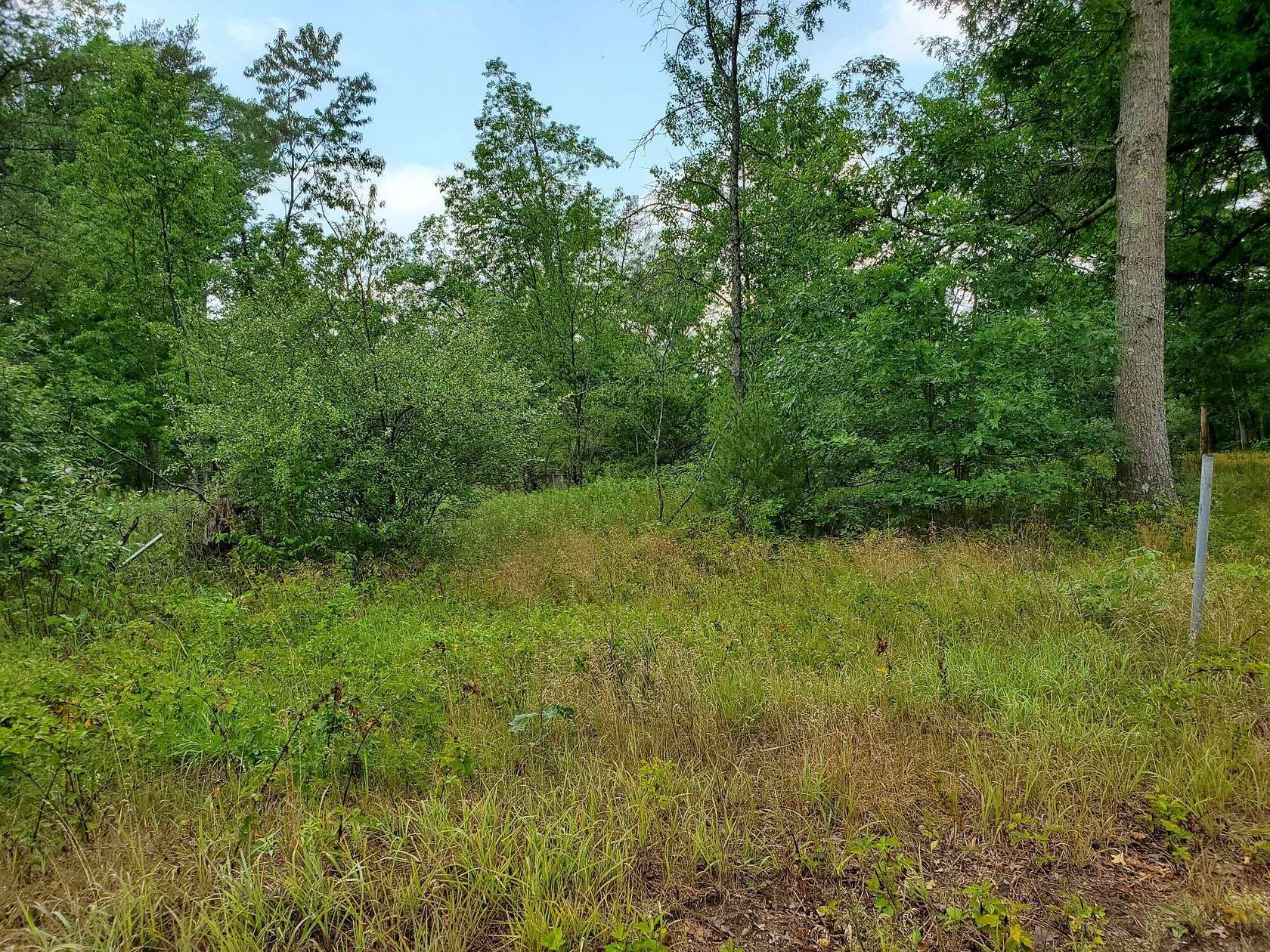 0.22 Acres of Land for Sale in Idlewild, Michigan