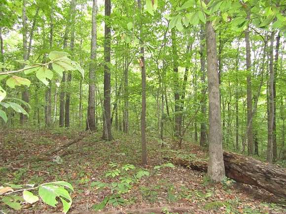 5.16 Acres of Land for Sale in Jamestown, Tennessee