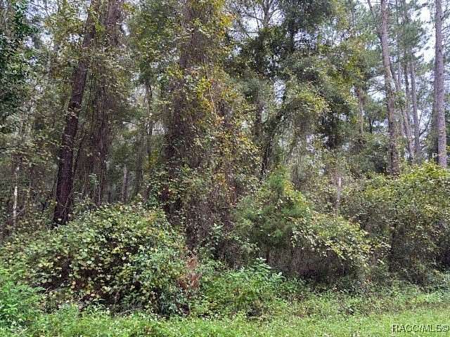 0.28 Acres of Residential Land for Sale in Citrus Springs, Florida