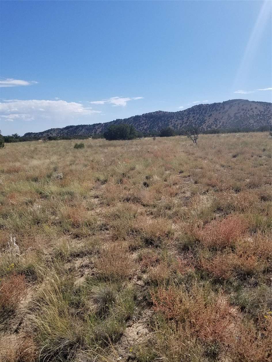 20 Acres of Recreational Land for Sale in Cerrillos, New Mexico