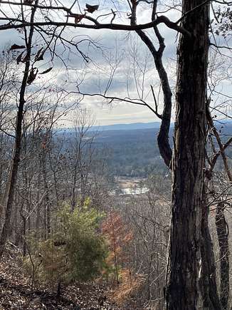 30.97 Acres of Recreational Land for Sale in Rock Springs, Georgia