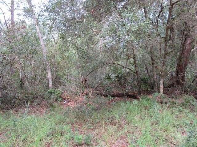 0.9 Acres of Residential Land for Sale in Paisley, Florida