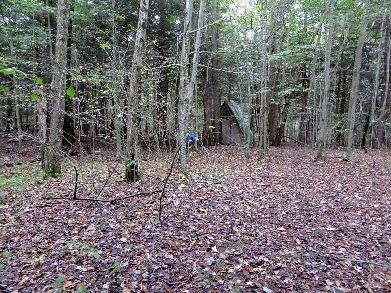 50 Acres of Recreational Land for Sale in Dushore, Pennsylvania