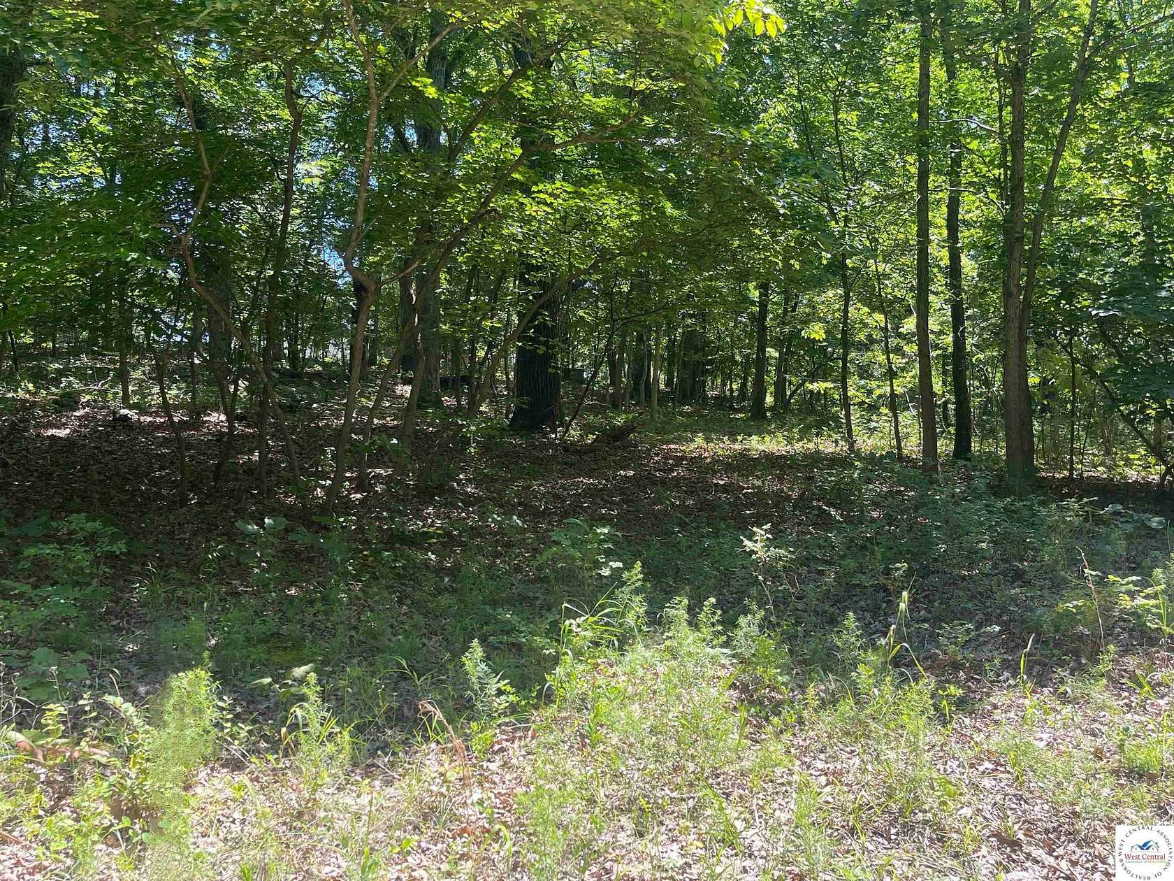 1 Acre of Residential Land for Sale in Edwards, Missouri