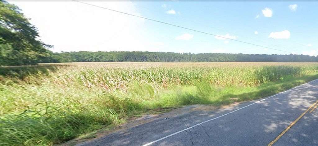 77.28 Acres of Land for Sale in Bowman, South Carolina