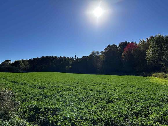 10 Acres of Recreational Land for Sale in Birnamwood, Wisconsin