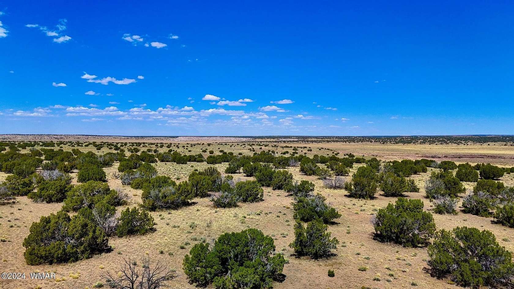 40.49 Acres of Recreational Land for Sale in St. Johns, Arizona