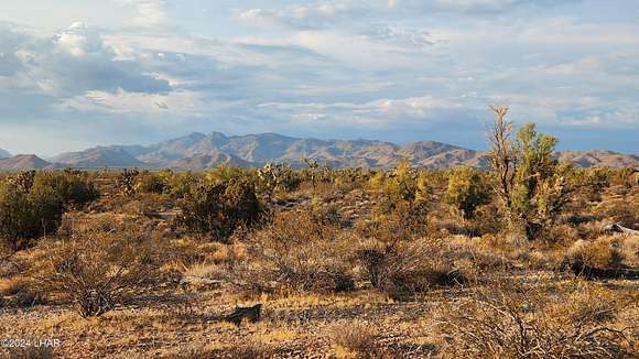 40.06 Acres of Land for Sale in Yucca, Arizona