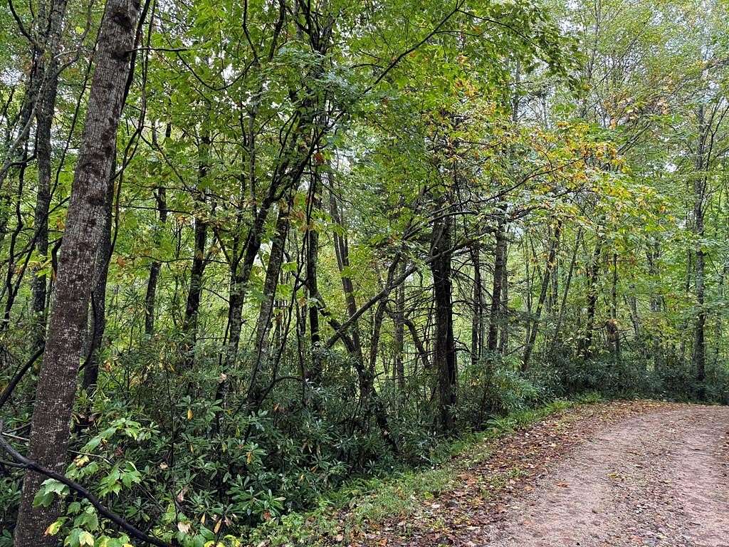 2.56 Acres of Land for Sale in Nantahala Township, North Carolina