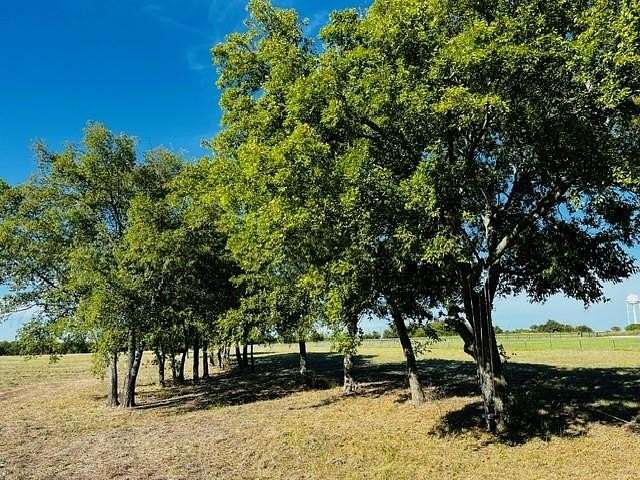 9.962 Acres of Residential Land for Sale in Leonard, Texas