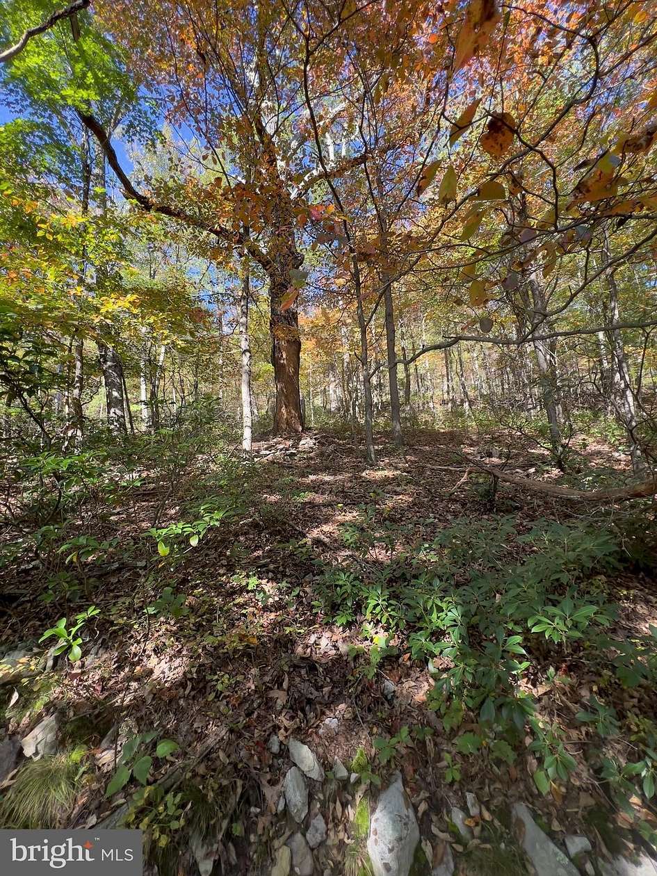 1.43 Acres of Residential Land for Sale in Winchester, Virginia