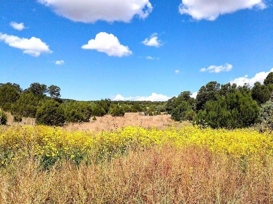 2 Acres of Land for Sale in Edgewood, New Mexico