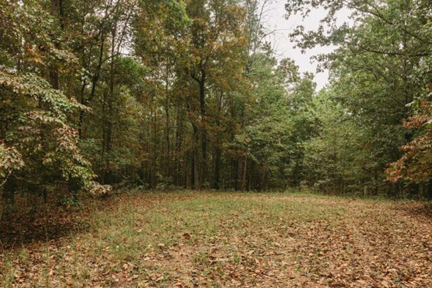 2.4 Acres of Residential Land for Sale in Ellington, Missouri