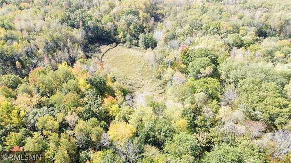 75 Acres of Land for Sale in Milaca, Minnesota