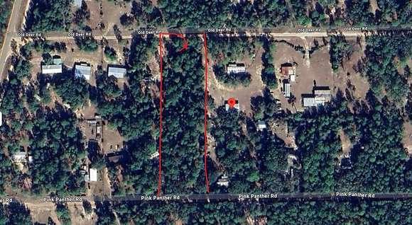 0.49 Acres of Land for Sale in Paisley, Florida