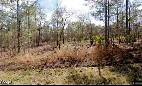 1 Acre of Residential Land for Sale in Weeki Wachee, Florida