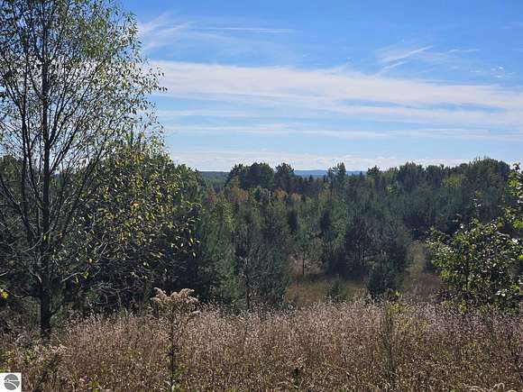 24 Acres of Recreational Land for Sale in Lake City, Michigan