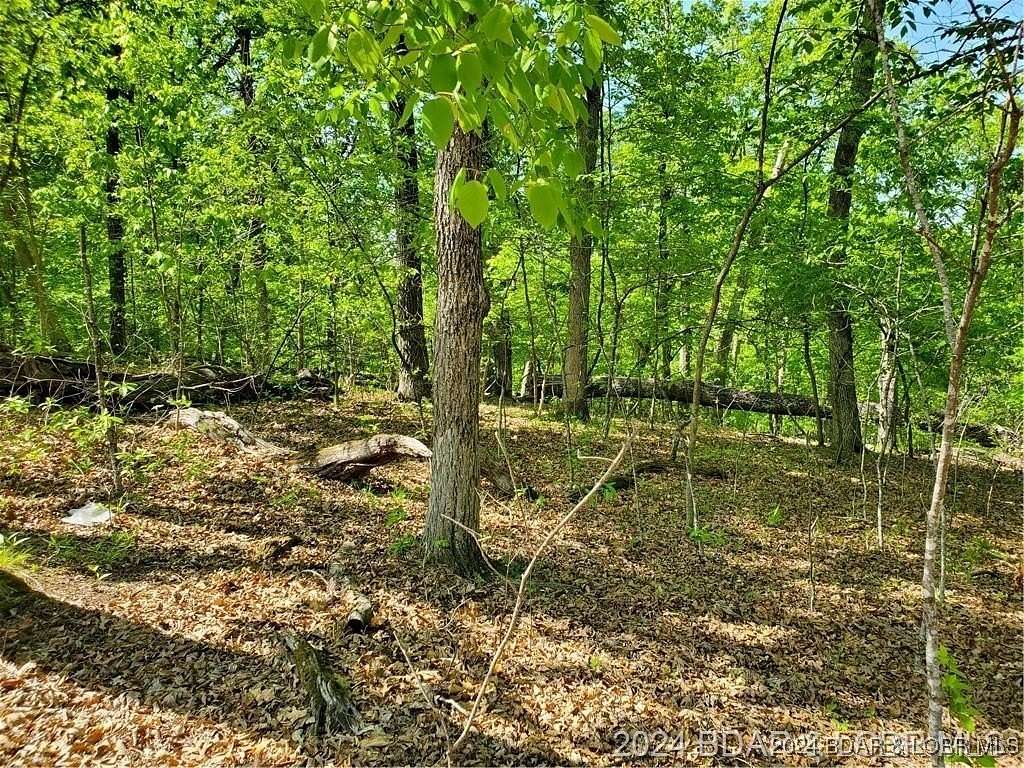 0.29 Acres of Land for Sale in Village of Four Seasons, Missouri