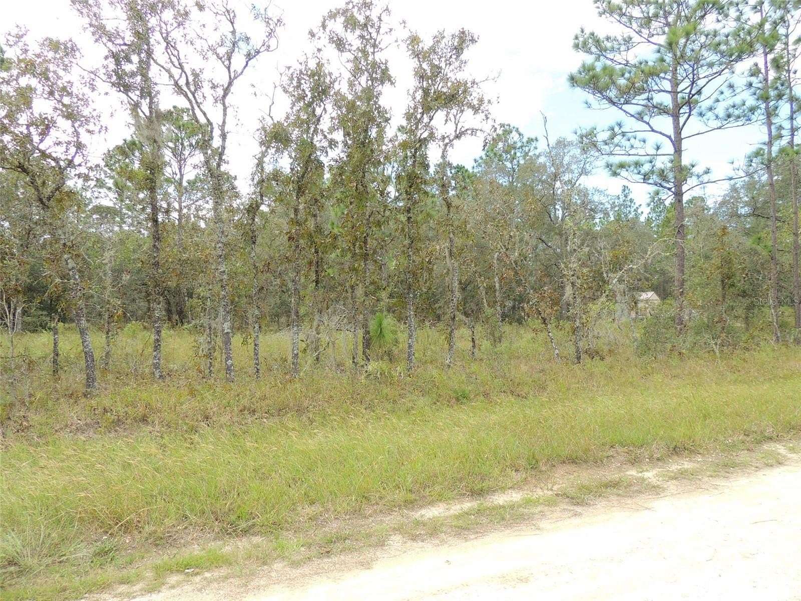 1 Acre of Land for Sale in Williston, Florida