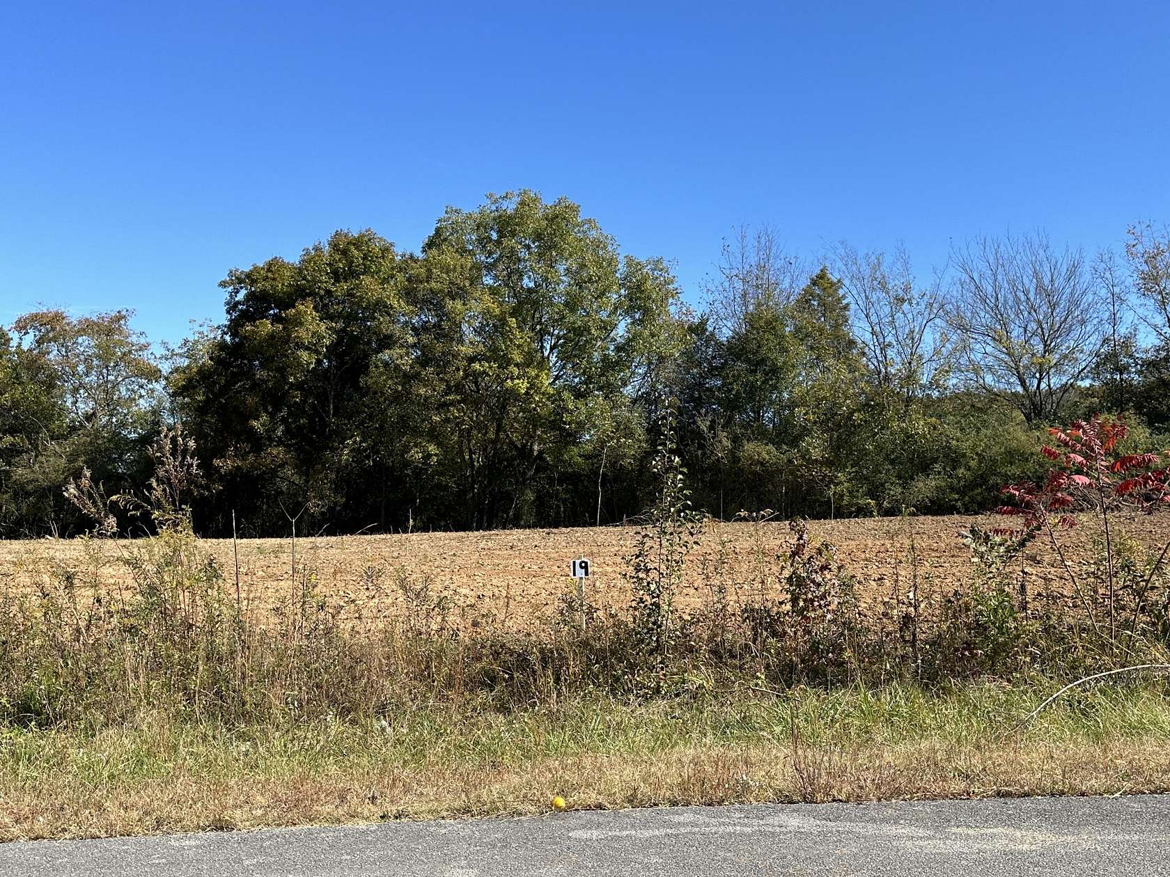 0.52 Acres of Residential Land for Sale in Etowah, Tennessee