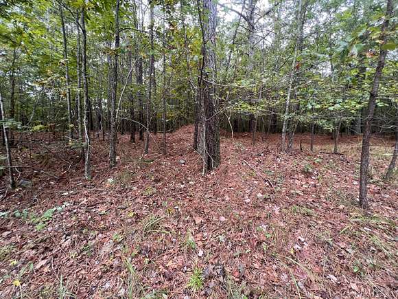 4.01 Acres of Residential Land for Sale in Mentone, Alabama