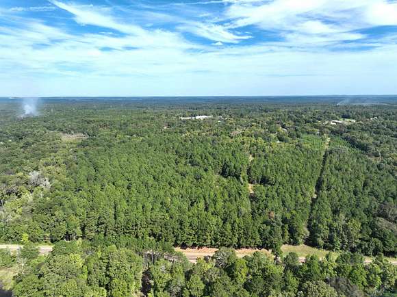 36.487 Acres of Recreational Land for Sale in Avinger, Texas