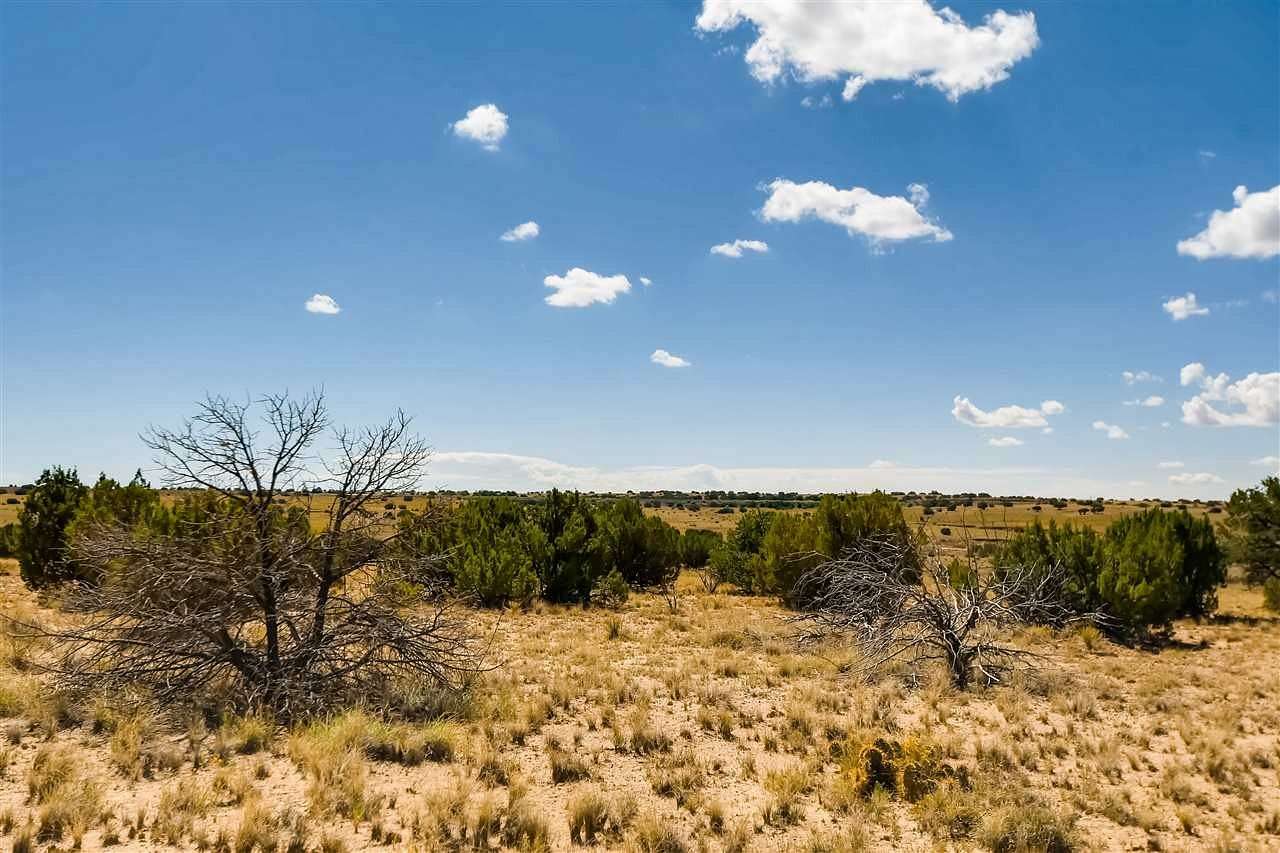 160 Acres of Land for Sale in Lamy, New Mexico