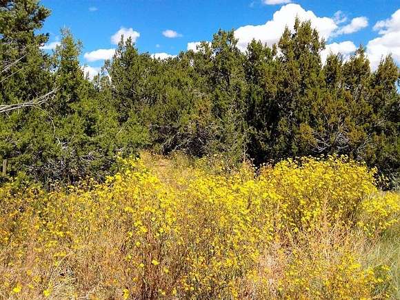 2.07 Acres of Land for Sale in Edgewood, New Mexico