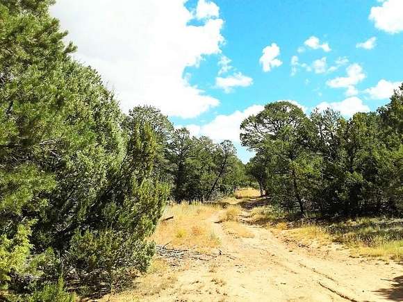 2.1 Acres of Land for Sale in Edgewood, New Mexico