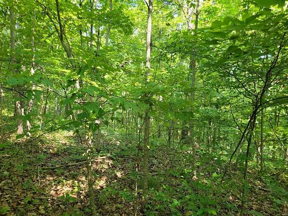 10 Acres of Land for Sale in Ellington, Missouri