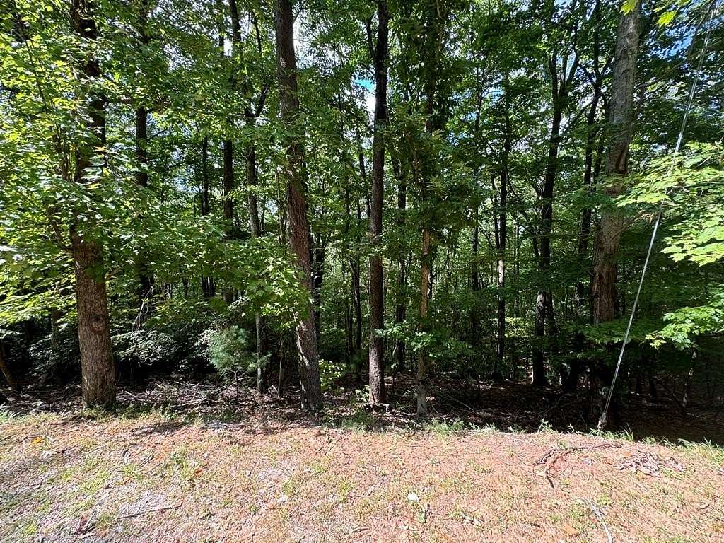 0.57 Acres of Residential Land for Sale in Ellijay, Georgia