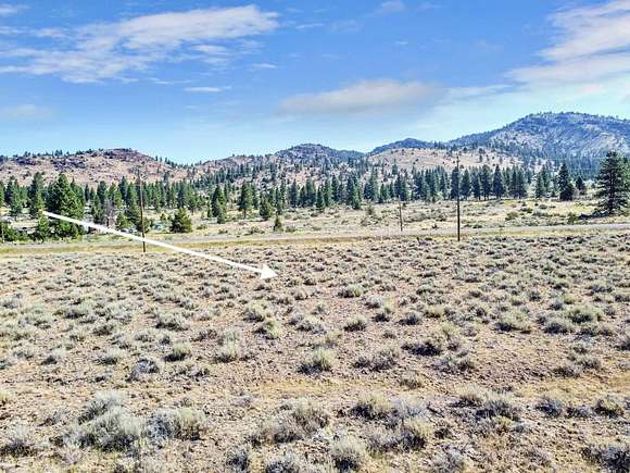 1 Acre of Residential Land for Sale in Loyalton, California