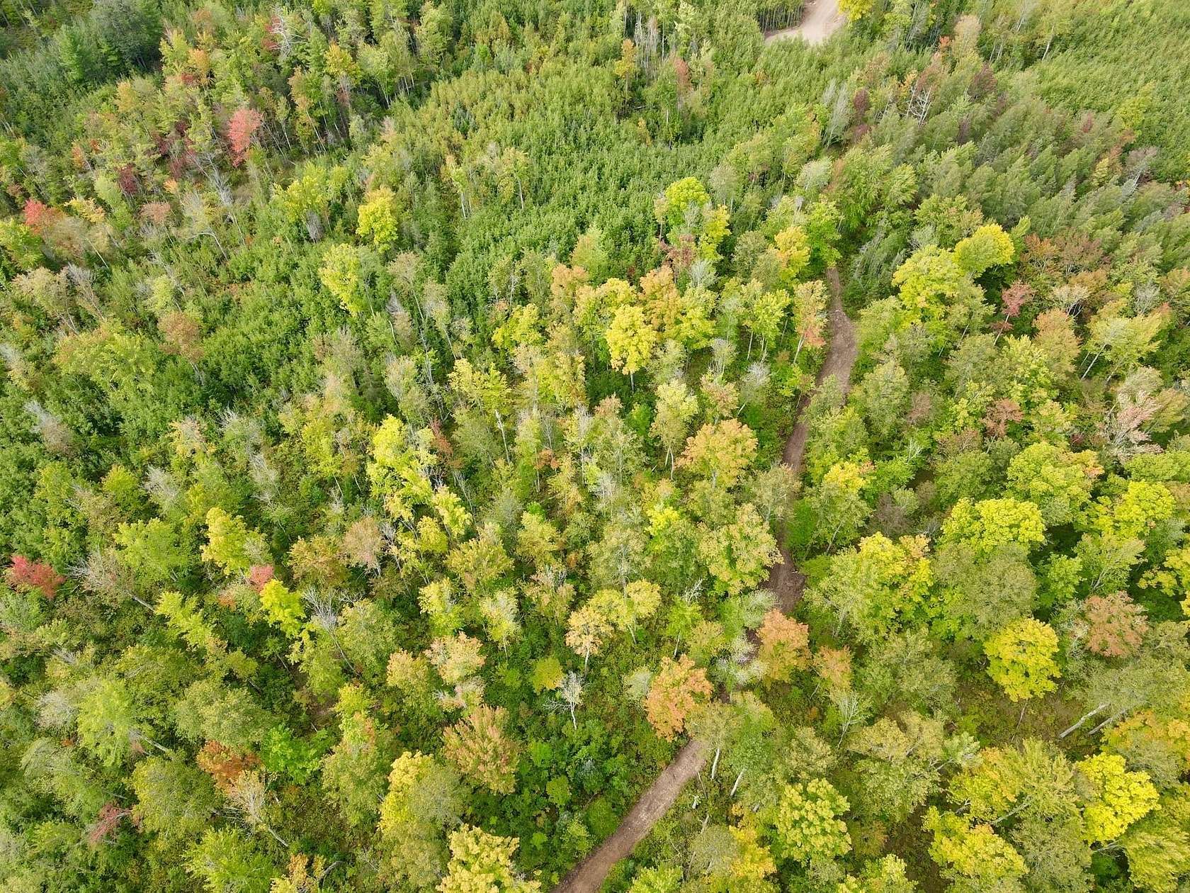 9.901 Acres of Land for Sale in Tomahawk, Wisconsin