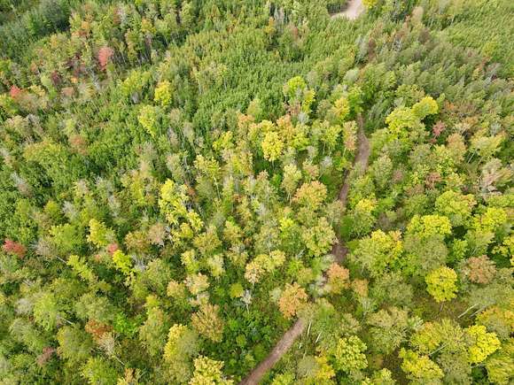 9.901 Acres of Land for Sale in Tomahawk, Wisconsin