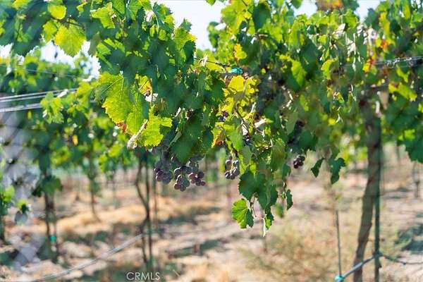 21.7 Acres of Land for Sale in Aguanga, California