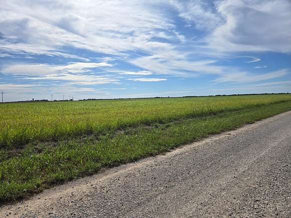 60.03 Acres of Recreational Land & Farm for Sale in Megargel, Texas