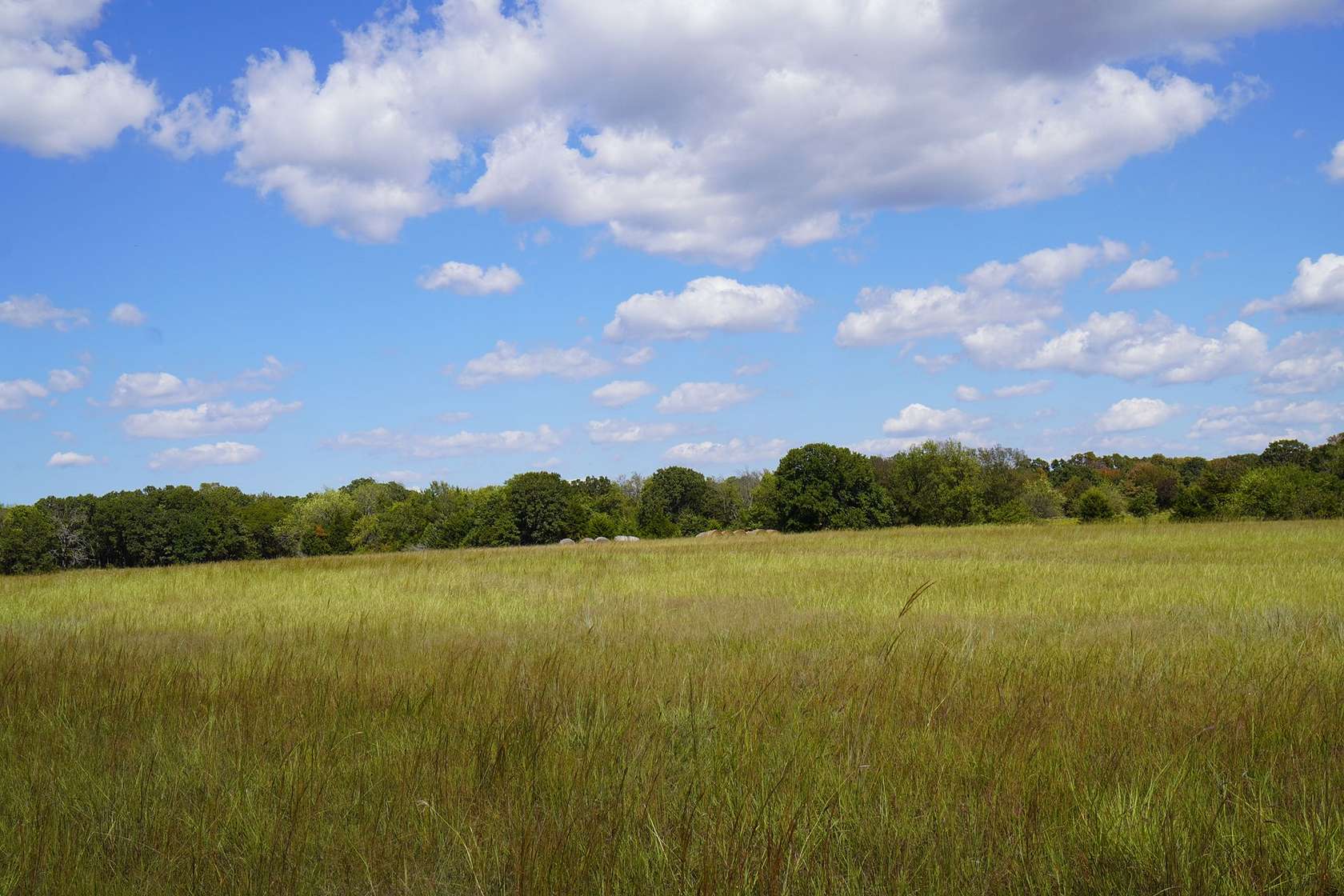 20.81 Acres of Recreational Land & Farm for Auction in Meeker, Oklahoma