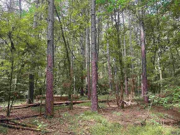 80 Acres of Recreational Land & Farm for Sale in Columbia, Louisiana