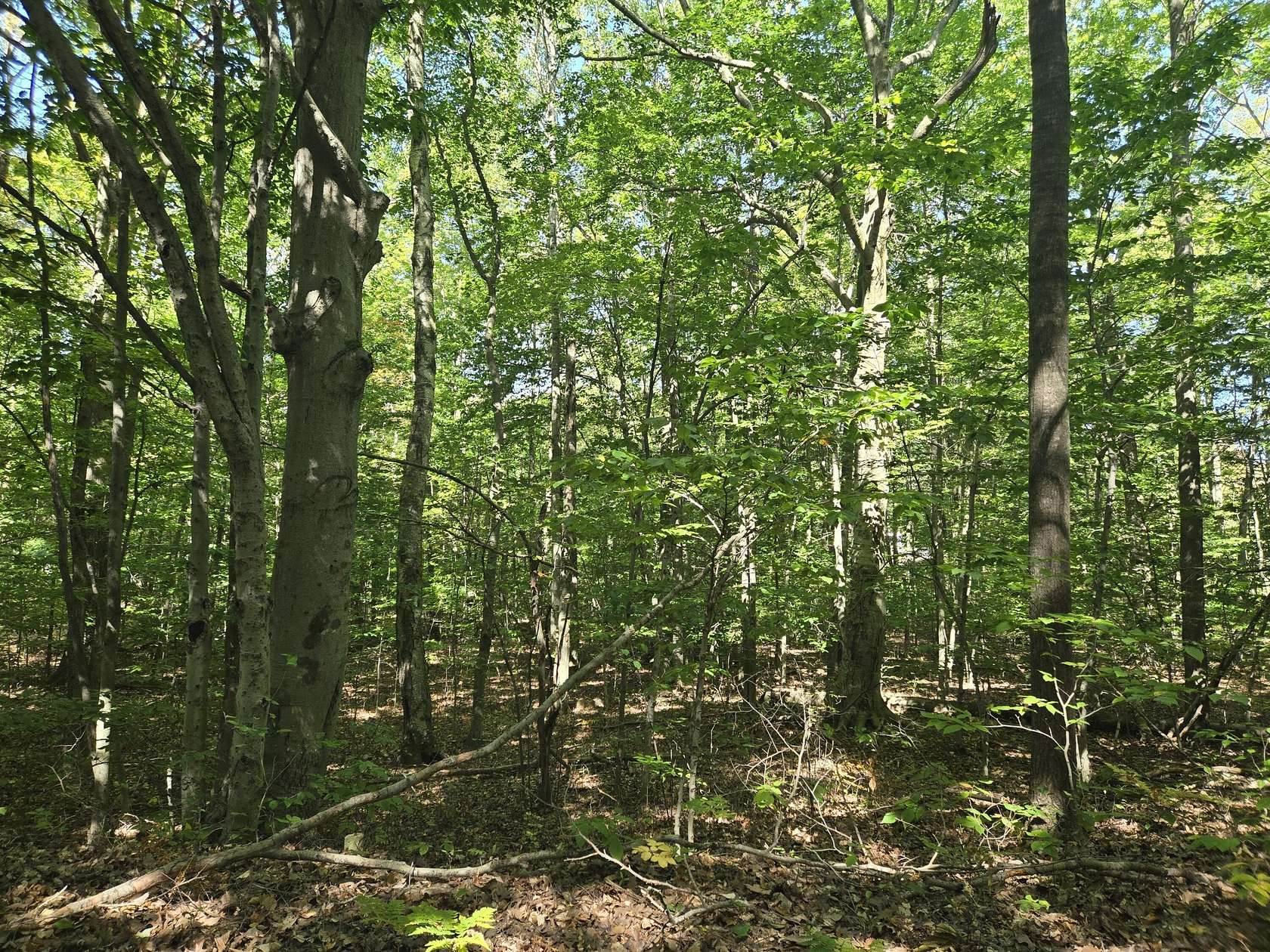 0.37 Acres of Residential Land for Sale in Ludington, Michigan