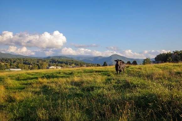 47 Acres of Agricultural Land for Sale in Raphine, Virginia