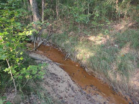 20.35 Acres of Recreational Land for Sale in Junction City, Georgia