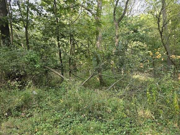 0.17 Acres of Land for Sale in Galena, Illinois