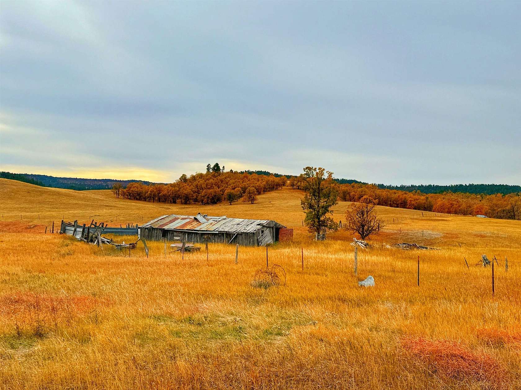 18.33 Acres of Land for Sale in Aladdin, Wyoming