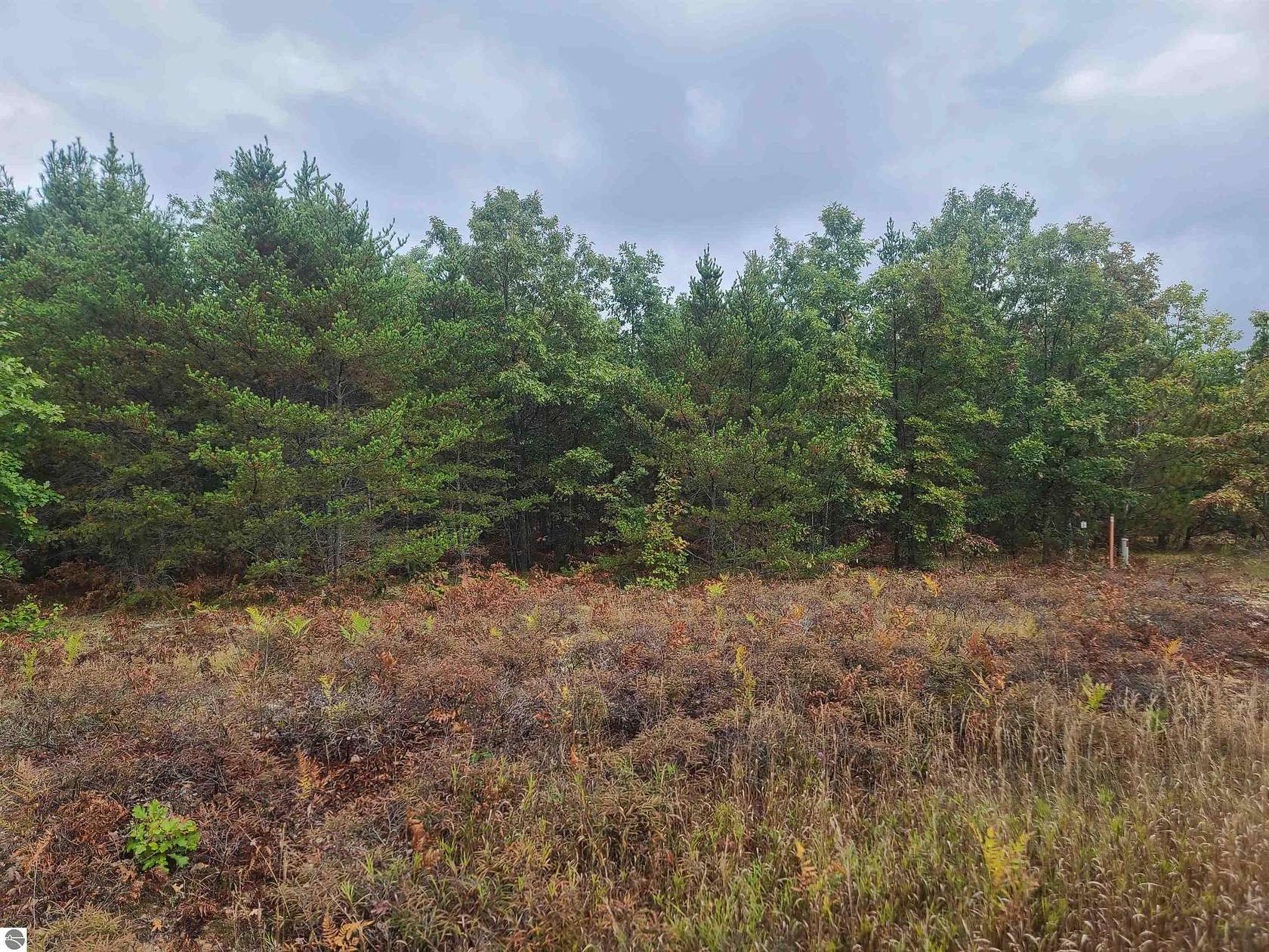 0.51 Acres of Land for Sale in Kalkaska, Michigan