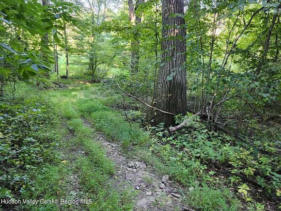 9.1 Acres of Land for Sale in Saugerties, New York