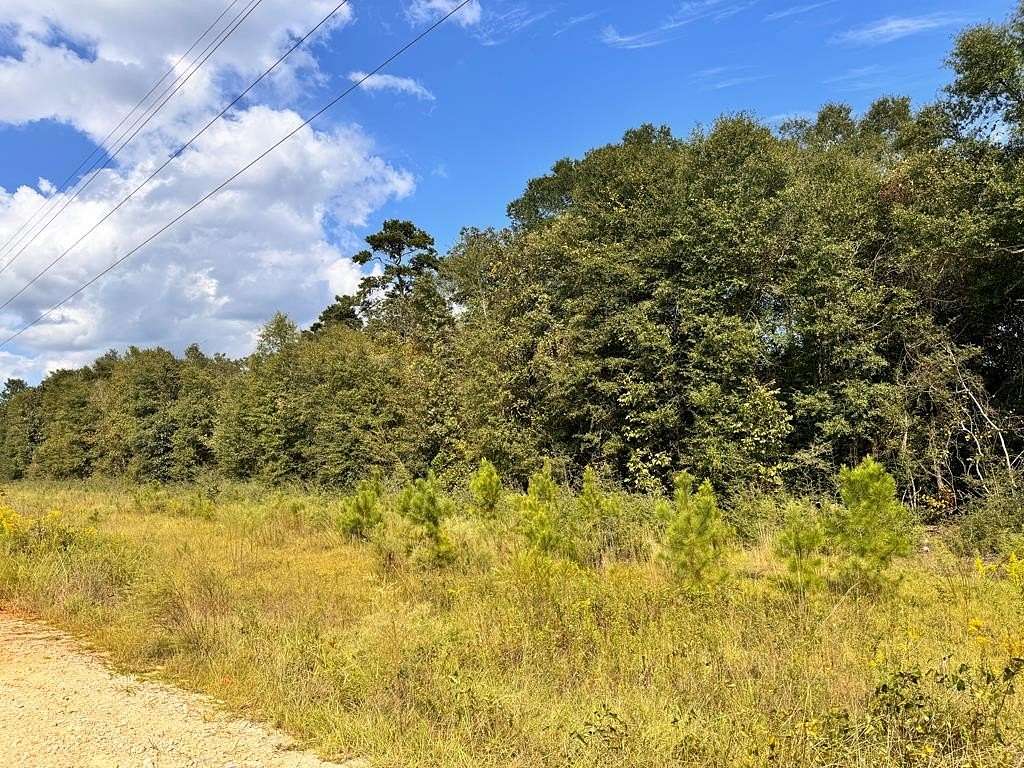 7.806 Acres of Residential Land for Sale in Newton, Alabama