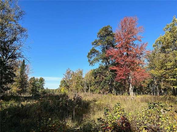 19.9 Acres of Land for Sale in Home Brook Township, Minnesota